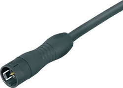 Snap-In IP67 cable connector, Contacts: 12, not shielded, moulded on cable, IP67, Standard cable, PUR black, 12 x 0.25 mm²