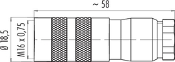 M16 IP67 female cable connector, Contacts: 7, 6.0 - 8.0 mm, shieldable, solder, IP67, UL